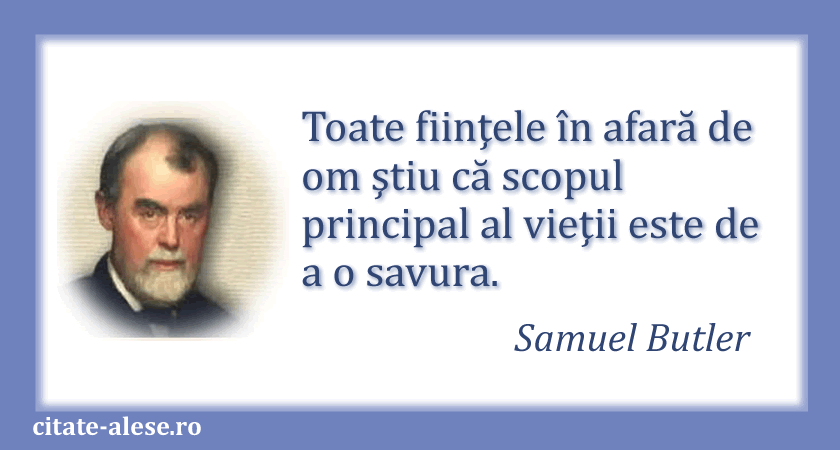 Samuel Butler, citat despre viaţă