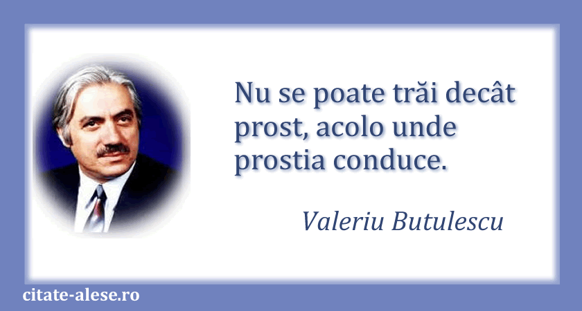 Valeriu Butulescu, citat despre prostie