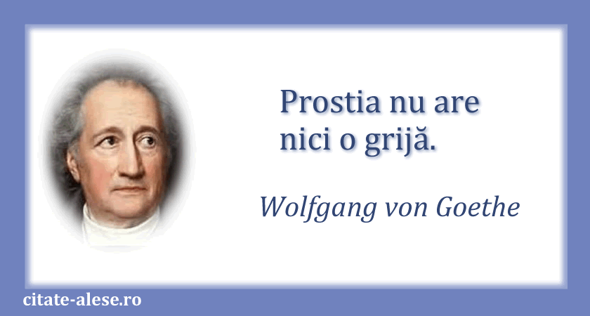 Goethe, citat despre prostie
