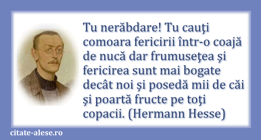 Hermann Hesse, citat despre nerăbdare şi fericire