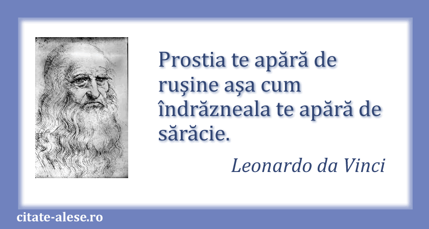 Leonardo da Vinci, citat despre prostie