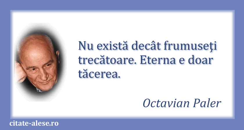 Octavian Paler, citat despre frumuseţe