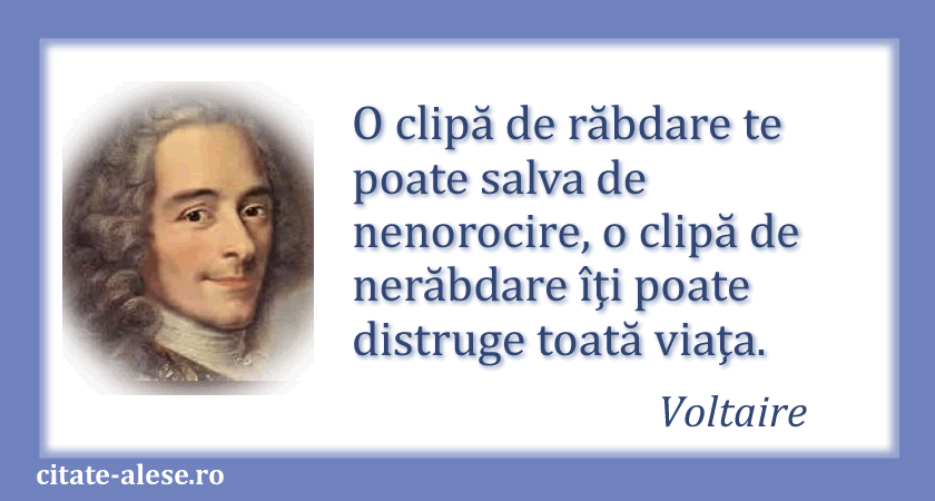 Voltaire, citat despre răbdare